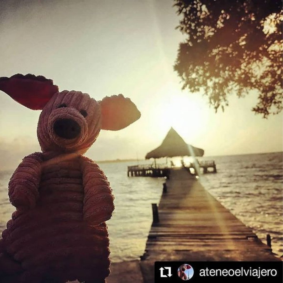 Instagram (2)